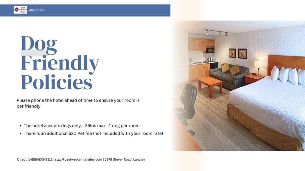 Best Western PLUS Langley Inn Zimmer foto